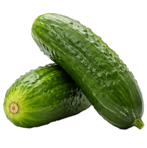 Sicily Cucumber Field 1kg
