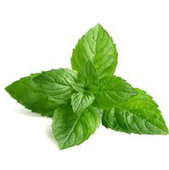 R. Mint Herb Local Fresh 1pcs.