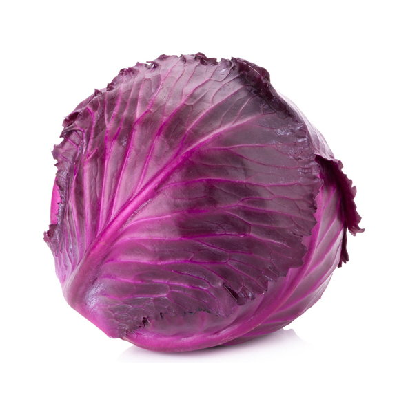 Cabbage Red 1 Pcs.