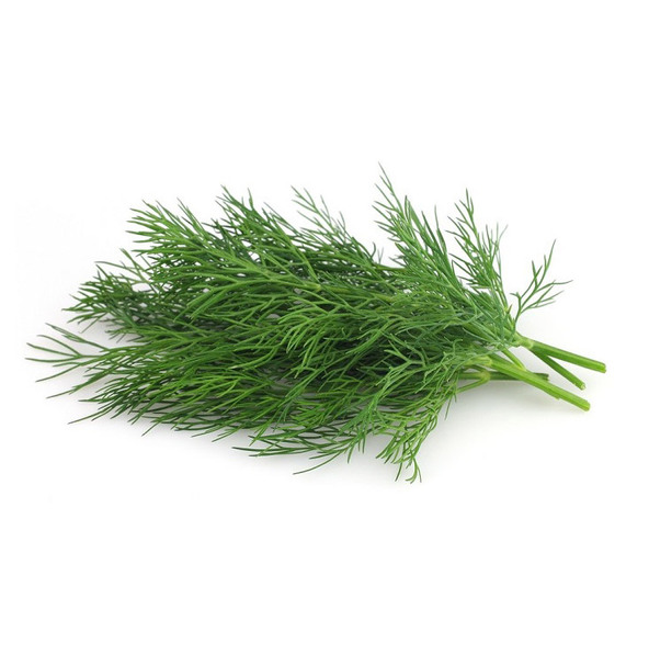 R. Dill Herb Local Fresh 1 Pcs.