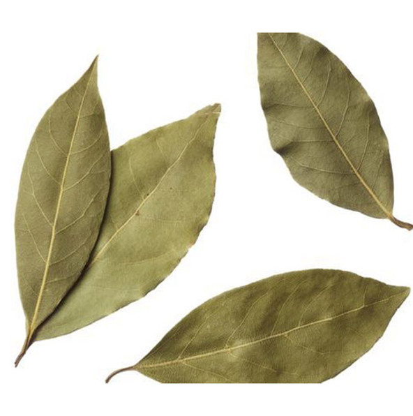 R. Bayleaves Local Fresh
