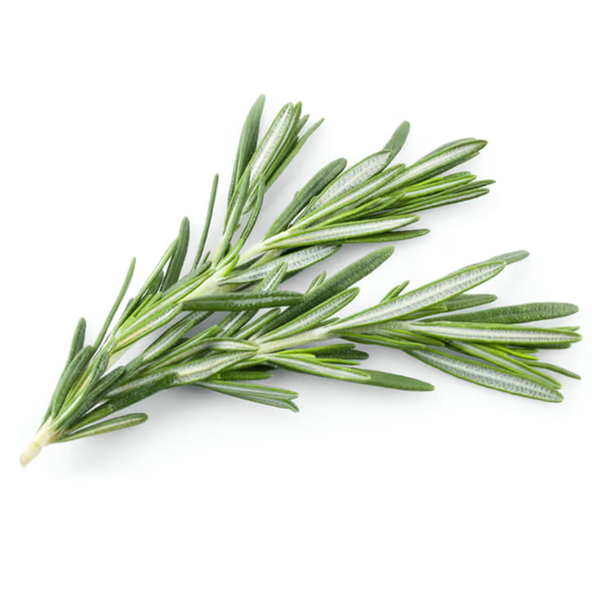 R. Rosemary Local Fresh