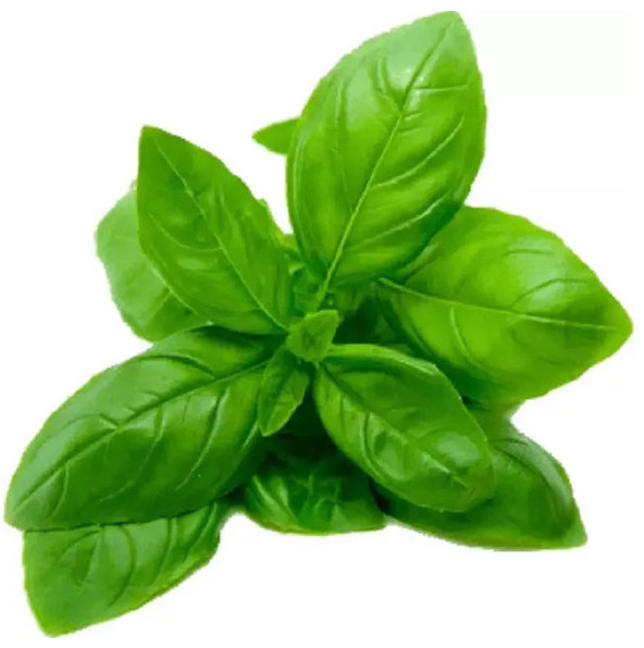R. Basil Local Fresh