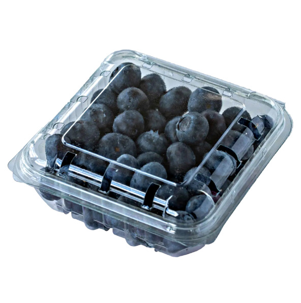 Blueberries Packed 125 Grms